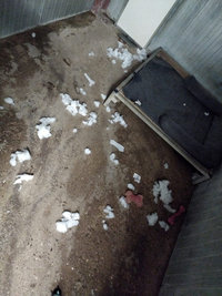 Couchages chiens refusés